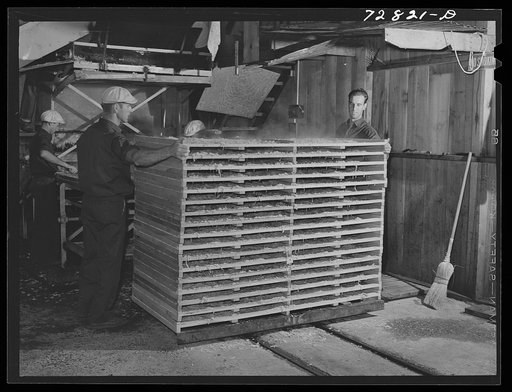 Turlock, California. Trays of blanched cabbage ready for the drying tunnel in dehydrating plant