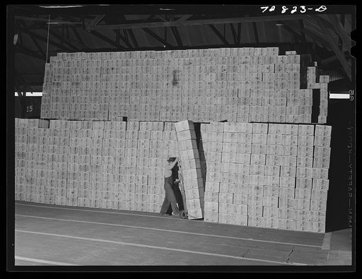 Turlock, California. Cans which will contain dehydrated cabbage
