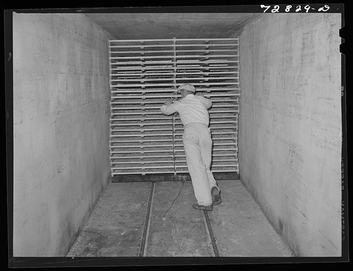 Turlock, California. Pushing racks of cabbage into drying tunnel at dehydrating plant