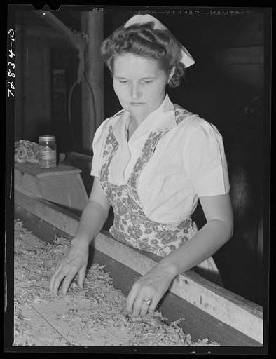 Turlock, California. Inspecting dehydrated cabbage