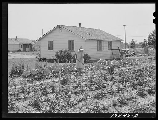 Home and garden of Mr. and Mrs. Ellis Shadd. FSA (Farm Security Administration) farm workers community. Gridley, California