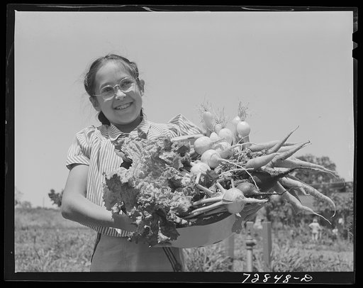 Marileeann Simpson holds a pan of vegetables freshly gathered from her family's garden at the FSA (Farm Security Administration) farm workers community. Yuba City, California
