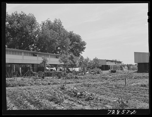 Agricultural workers in gardens in rear of apartment building at the FSA (Farm Security Administration) farm workers community. Yuba City, California