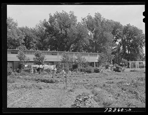 Agricultural workers in garden in rear of apartment building at the FSA (Farm Security Administration) farm workers community. Yuba City, California