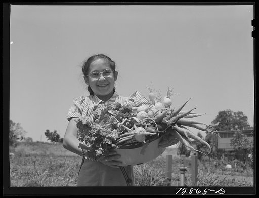 Untitled photo, possibly related to: Marileeann Simpson holds a pan of vegetables freshly gathered from her family's garden at the FSA (Farm Security Administration) farm workers community. Yuba City, California