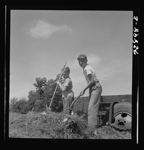 Untitled photo, possibly related to: Yuba City, California. FSA (Farm Security Administration) farm family camp. Boys gathering hay at the camp