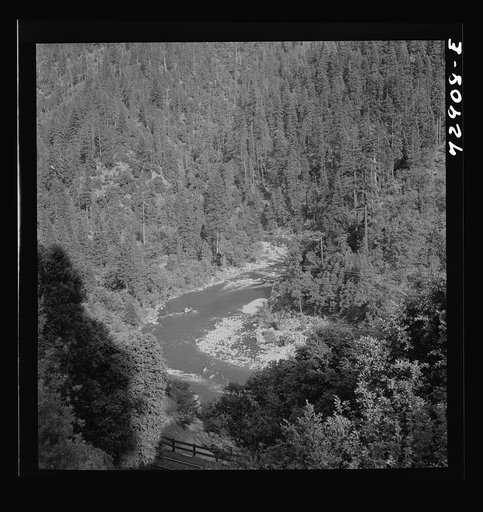 Untitled photo, possibly related to: Shasta County, California. Mountain stream