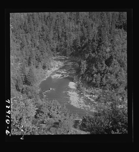 Shasta County, California. Mountain stream