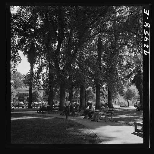 Untitled photo, possibly related to: Chico, California. City park