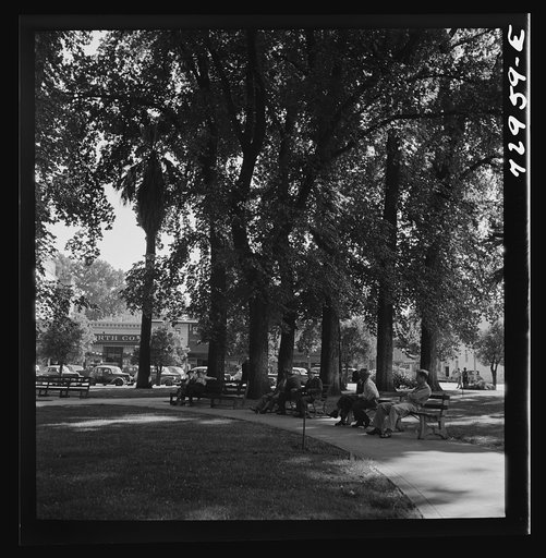 Untitled photo, possibly related to: Chico, California. City park