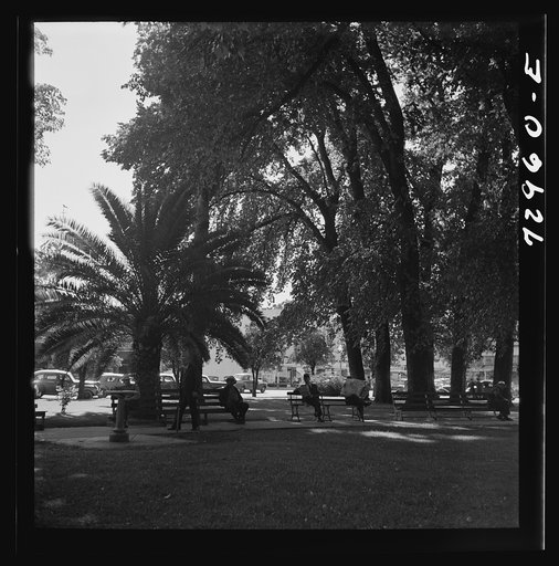 Untitled photo, possibly related to: Chico, California. City park