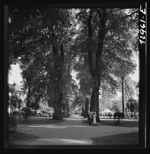 Chico, California. City park