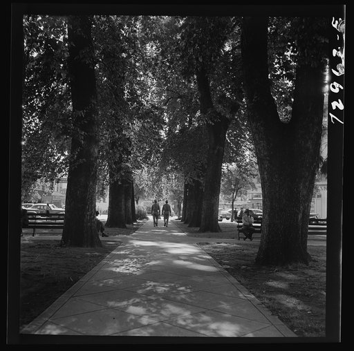 Chico, California. City park