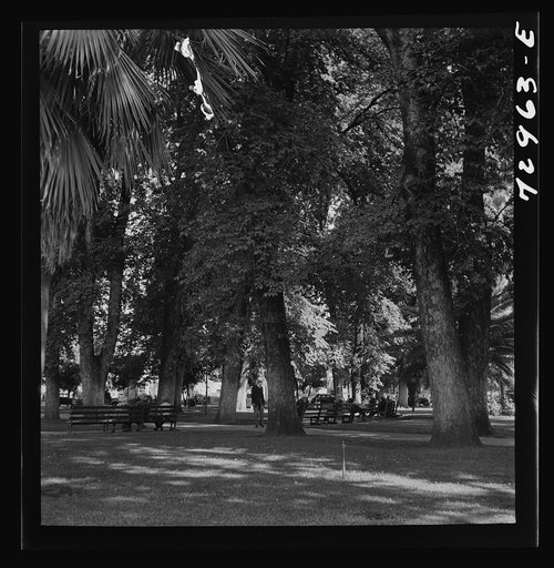 Untitled photo, possibly related to: Chico, California. City park