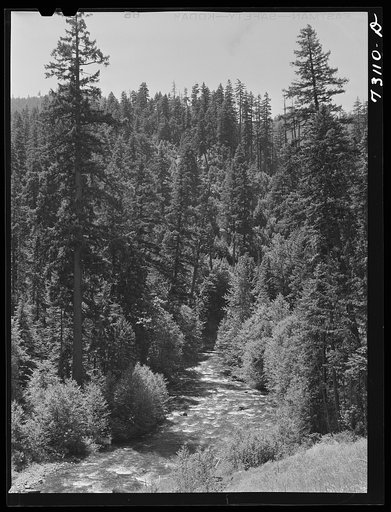 Untitled photo, possibly related to: Rogue River National Forest, Jackson County, Oregon. The Rogue River, a fishing stream