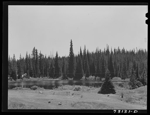 Deschutes National Forest, Oregon. Small mountain lake