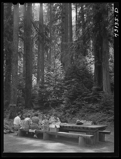 Willamette National Forest, Lane County, Oregon. Picnickers on the Fourth of July at Forest camp