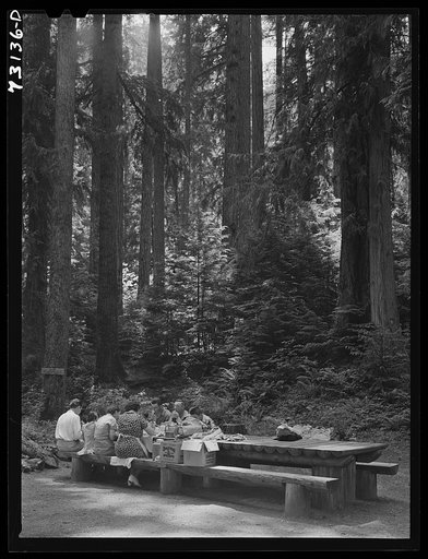 Willamette National Forest, Lane County, Oregon. Picnickers on the Fourth of July at Forest camp