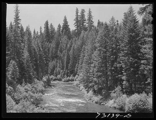 Rogue River National Forest, Jackson County, Oregon. The Rogue River, a fishing stream