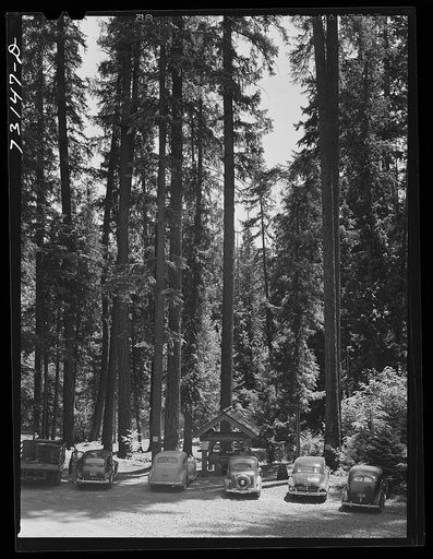 Rogue River National Forest, Jackson County, Oregon. Picnickers. The U.S Forest Service has built camps with outdoor ovens, drinking water, sanitary facilities and tables and benches and shelter houses throughout the national forests. Fire hazards are decreased in this way