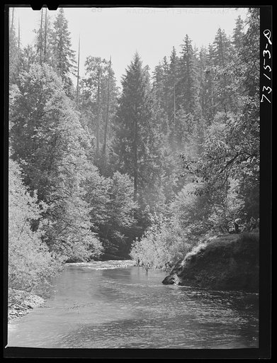 Untitled photo, possibly related to: Willamette National Park, Lane County, Oregon. The Blue Pool forest camp. Such forest camps are favorite picnicking and damping spots for vacationists. Throughout the national parks, camp fires are allowed only in these many forest camps so that the fire hazard i
