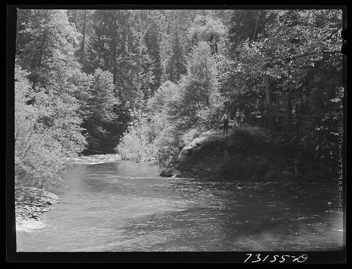 Willamette National Park, Lane County, Oregon. The Blue Pool forest camp. Such forest camps are favorite picnicking and camping spots for vacationist. Throughout the national parks, camp fires are allowed only in these many forest camps so that the fire hazard is minimized