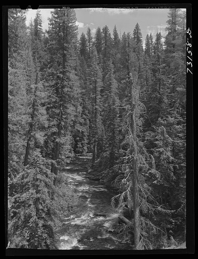 Rogue River National Forest, Jackson County, Oregon. The Rogue River