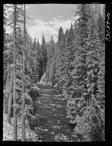 Rogue River National Forest, Jackson County, Oregon. The Rogue River
