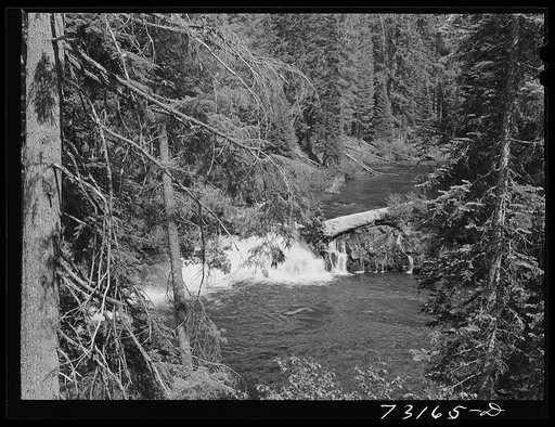 Rogue River National Forest, Jackson County, Oregon. The Rogue River