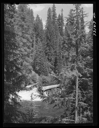 Untitled photo, possibly related to: Rogue River National Forest, Jackson County, Oregon. The Rogue River