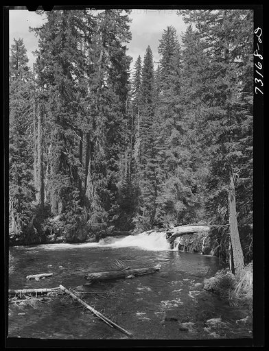 Rogue River National Forest, Jackson County, Oregon. The Rogue River