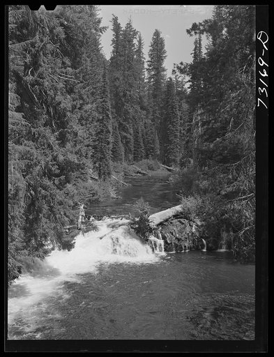 Rogue River National Forest, Jackson County, Oregon. The Rogue River