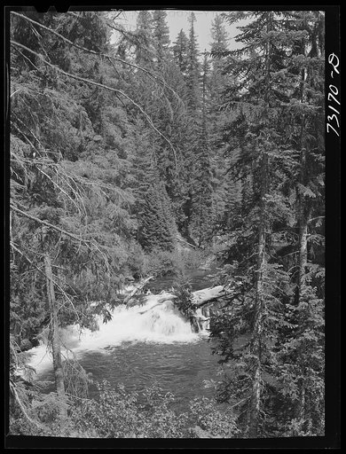 Rogue River National Forest, Jackson County, Oregon. The Rogue River