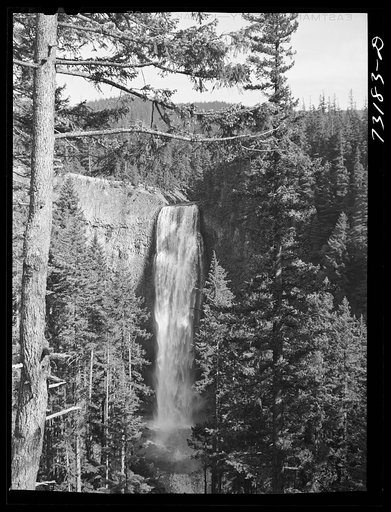Willamette National Forest. Lane County, Oregon. Salt Creek falls