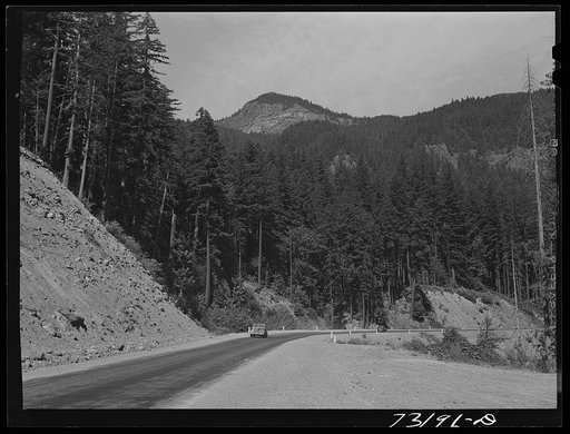 Willamette National Forest, Lane County, Oregon. State Highway 58