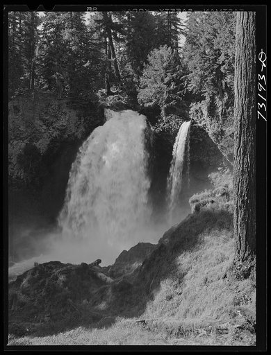 Willamette National Forest, Linn County, Oregon. Koosah Falls of the McKenzie River