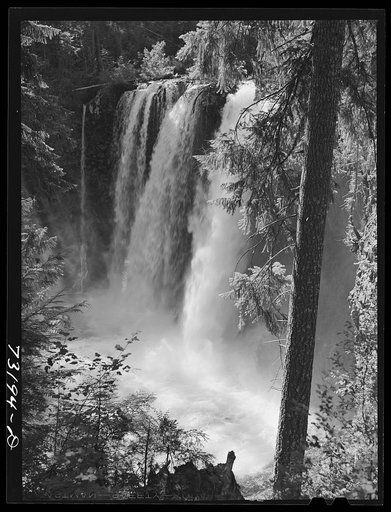 Willamette National Forest, Linn County, Oregon. Tamolitsh Falls of the McKenzie River