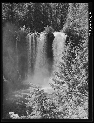 Willamette National Forest, Linn County, Oregon. Tamolitsh Falls of the McKenzie River