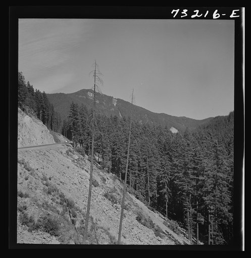 Untitled photo, possibly related to: Willamette National Forest, Lane County, Oregon. Mountains and forests along highway