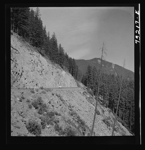Willamette National Forest, Lane County, Oregon. Mountains and forests along highway