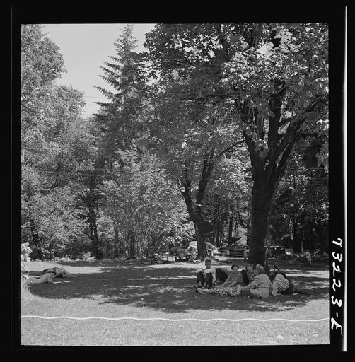 Willamette National Forest, Belknap Springs, Oregon. Picnickers