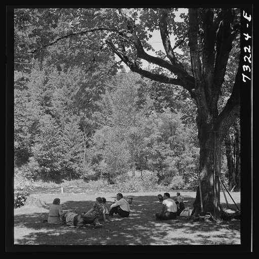 Willamette National Forest, Belknap Springs, Oregon. Picnickers