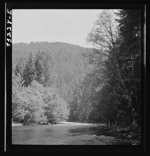 Untitled photo, possibly related to: Belknap Springs, Oregon. McKenzie River