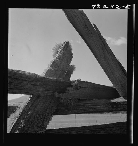 Jackson County, Oregon. Detail of moss-covered rail fence