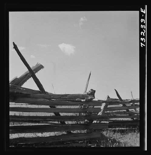 Jackson County, Oregon. Detail of moss-covered rail fence