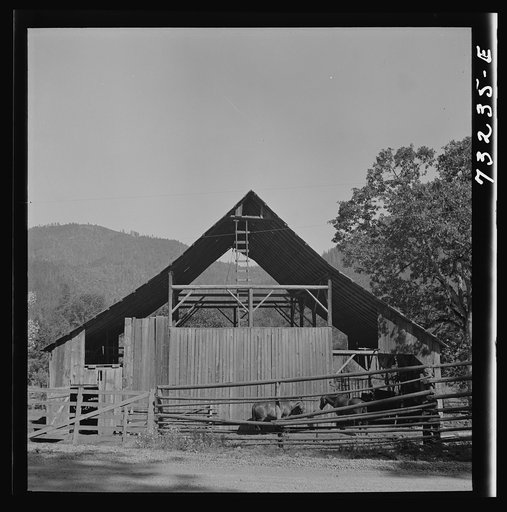 Jackson County, Oregon. Barn