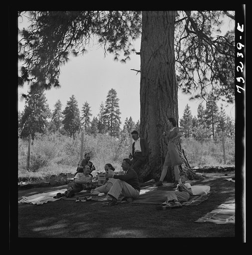 Klamath Falls, Oregon. Picnickers at city park