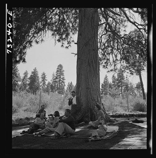 Untitled photo, possibly related to: Klamath Falls, Oregon. Picnickers at city park