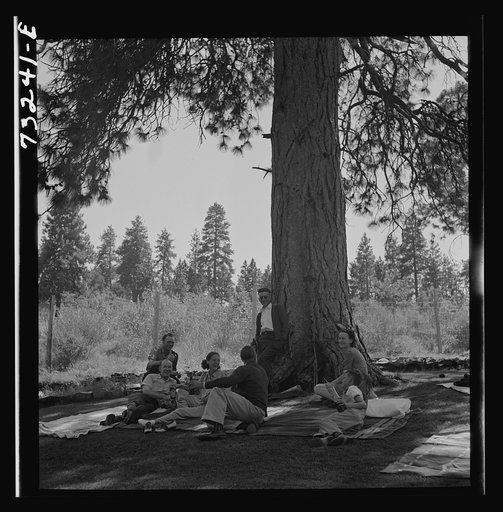 Untitled photo, possibly related to: Klamath Falls, Oregon. Picnickers at city park