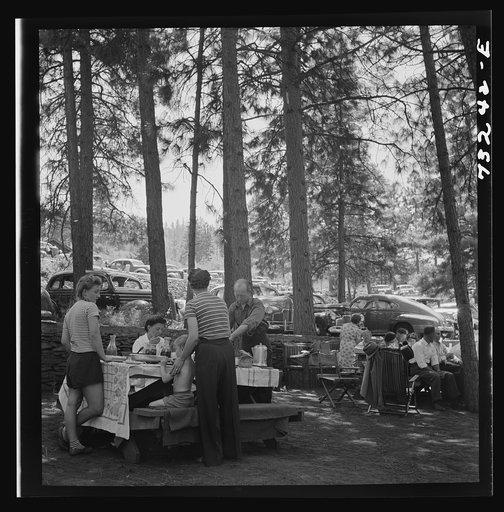 Klamath Falls, Oregon. Picnickers at city park